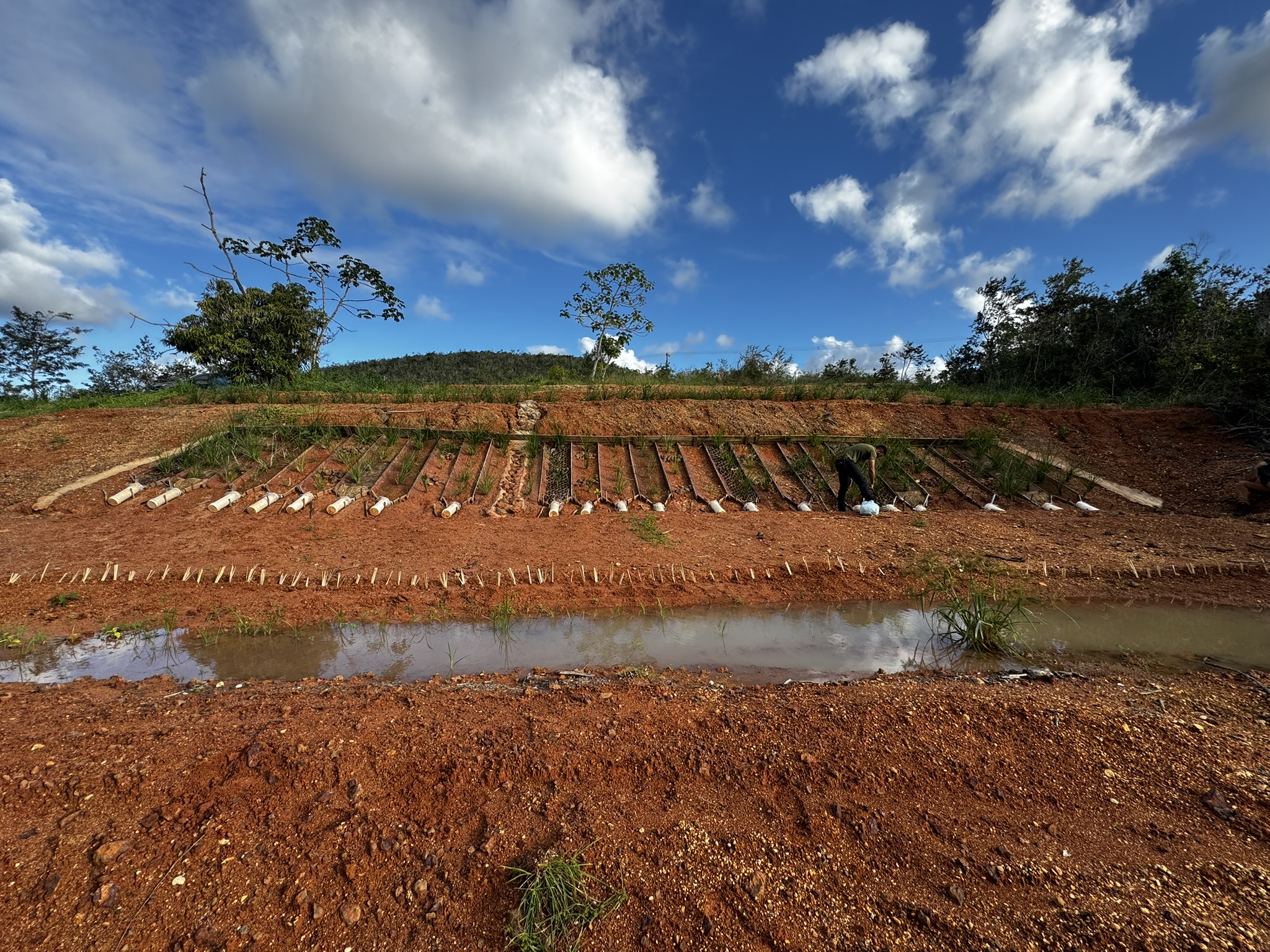 Talude degradado com erosão ativa e perda de cobertura